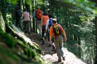 Wandern mit dem Navi im Wald bei &Uuml;hlingen-Birkendorf_Internet_14364